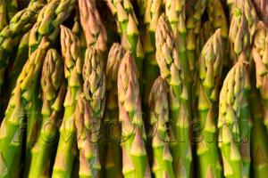 asparagus_03