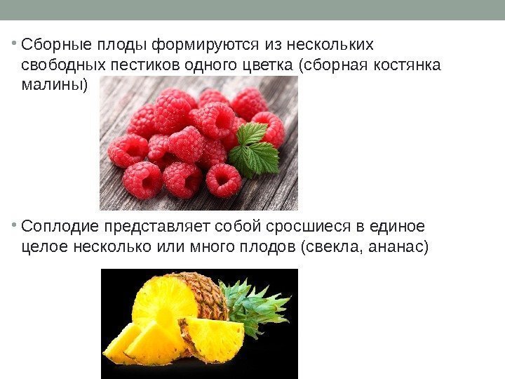  • Сборные плоды формируются из нескольких свободных пестиков одного цветка (сборная костянка малины)