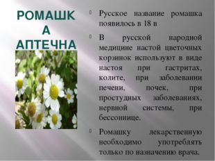 РОМАШКА АПТЕЧНАЯ Русское название ромашка появилось в 18 в В русской народной