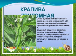 КРАПИВА ДВУДОМНАЯ Очень ценное поливитаминное растение, много витамина С, а 2
