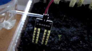 Автоматический полив растений на Arduino без насоса.
