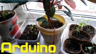Автополив растений на базе Arduino Nano