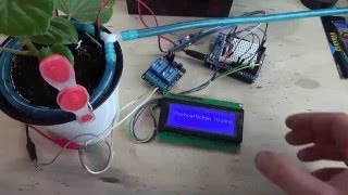 Автоматический полив растений на Arduino UNO