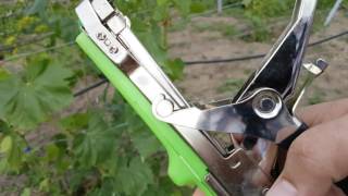 Инструмент для работ на винограднике, степлер для подвязки винограда, как работает.