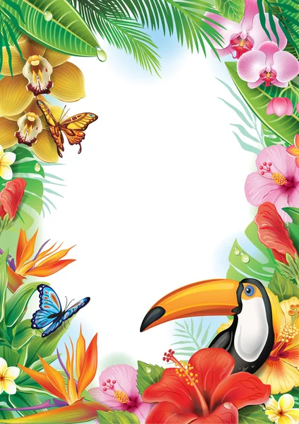 Рамка с тропическими цветами, бабочками и Тукан — стоковый вектор