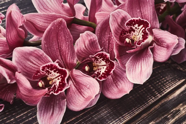 Orchid цветы на деревянные — стоковое фото