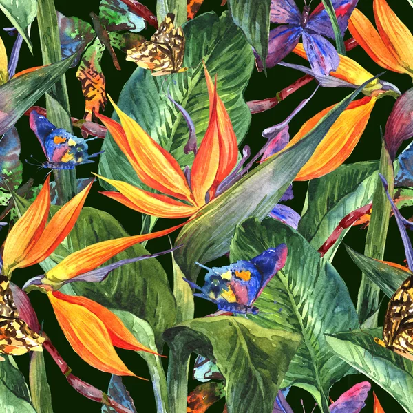 Тропический бесшовный образец с экзотическими цветами — стоковое фото