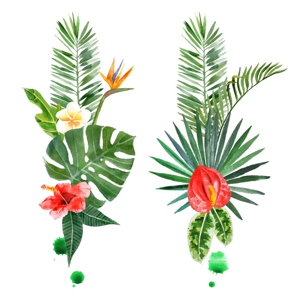 Акварель тропических растений для вашего дизайна — стоковый вектор