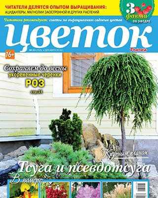 Читать бесплатно журналы о комнатных растениях и цветах