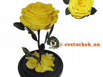 Желтая роза в колбе, королевский размер, арт. 5