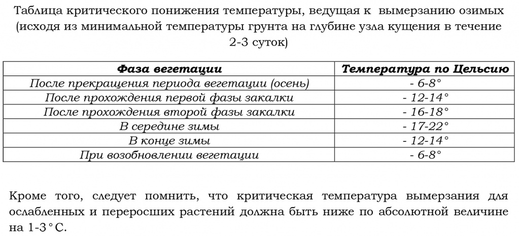 Таблица критического понижения температуры для озимых.jpg