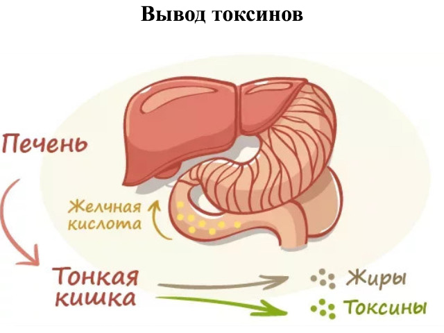 Схематический рисунок 