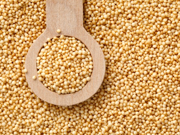 It takes hundreds of extremely tiny seeds of amaranth to fill this 1/8th teaspoon measuring spoon. Amaranth is gluten free, contains more essential amino acids than any other plant source (lysine in particular), high in protein and is second only to quinoa as a plant-based source of iron. Amaranth is said to be the only grain to include vitamin C.