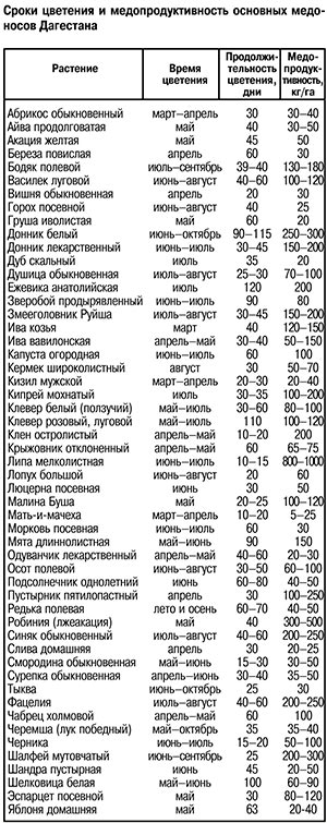 сроки цветения и медопродуктивность медоносов