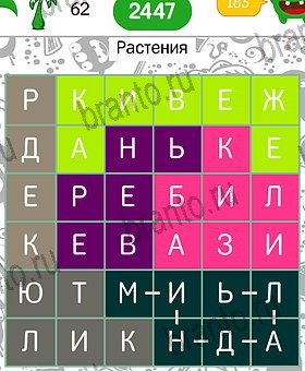 игра Филворды темы: разгадки на все задания Уровень 62