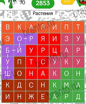 игра Филворды темы найди слова айфон ответы Уровень 70