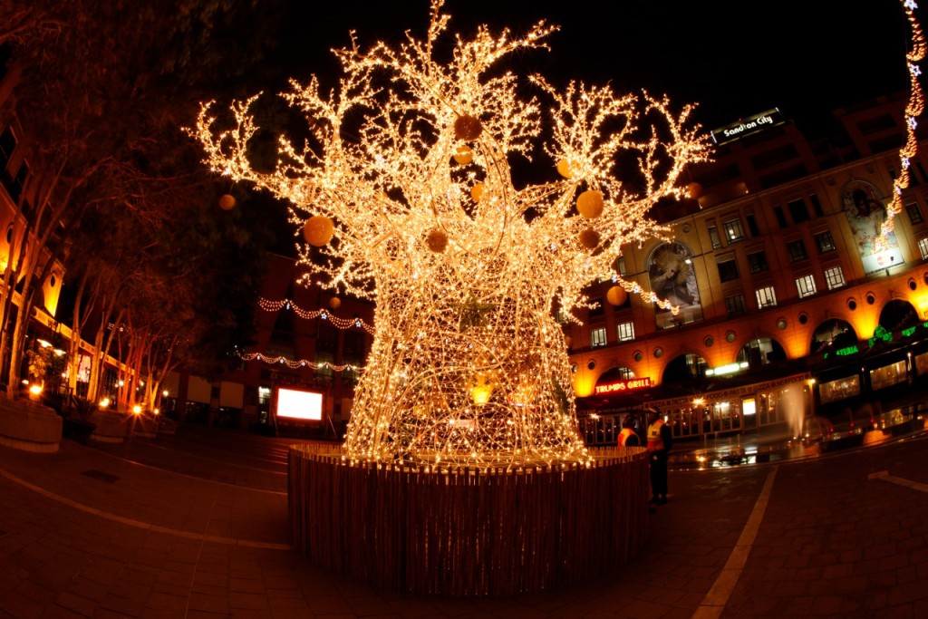 The Christmas Baobab Tree at Nelson Mandela Square in Sandton, Johannesburg (South Africa)