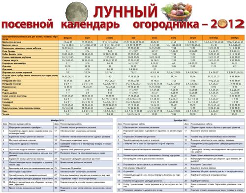 календарь посадок комнатных растений 