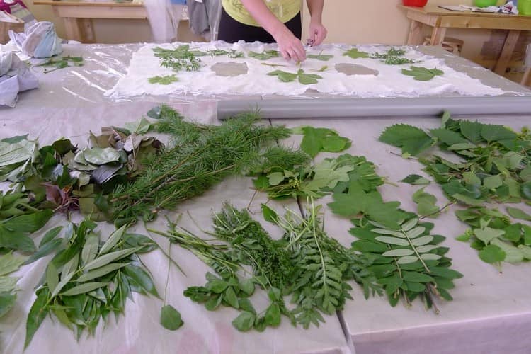 Отпечатки растений на аксессуарах в интерьере: подробные мастер-классы с фото по изготовлению эко принта