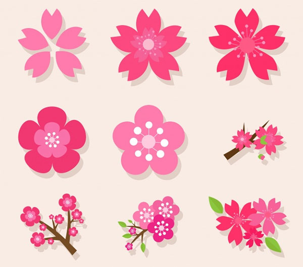 Variety of Cherry Blossoms