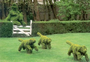 1314734734_topiary