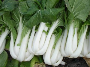 1434975283_pak-choi