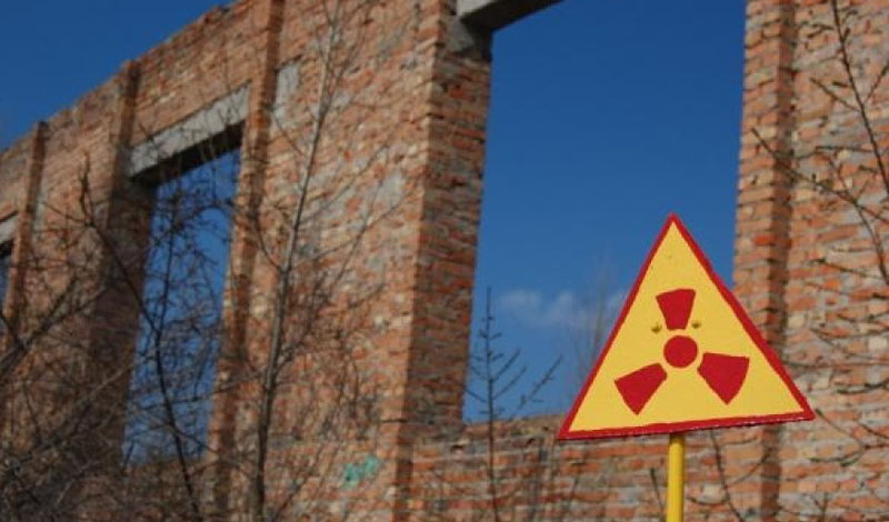 Исследование Greenpeace наглядно показало всему миру черную тень катастрофы на Чернобыльской АЭС. Риск использовать ядерные реакторы как источник энергии очень велик и человек, по крайней мере — пока, еще не в состоянии его купировать. 