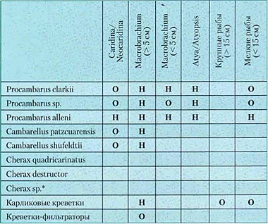 Таблица совместимости рыб и креветок