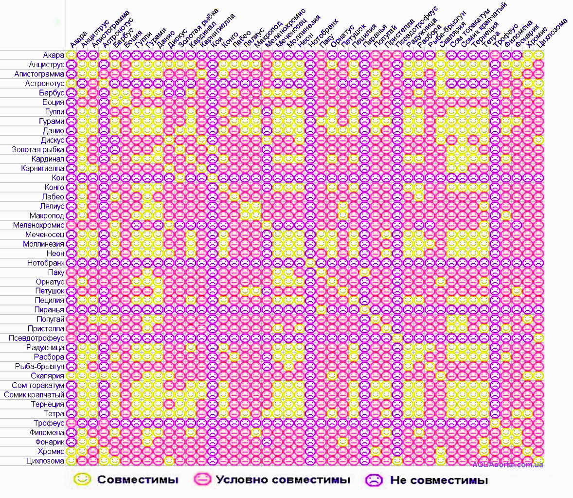 таблица совместимости аквариумных рыб