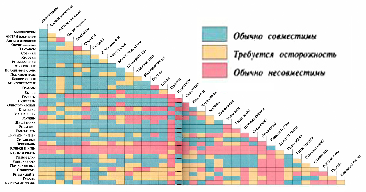 таблица совместимости рыбок