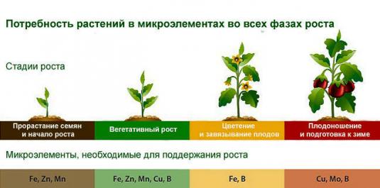 Потребность растений в микроэлементах