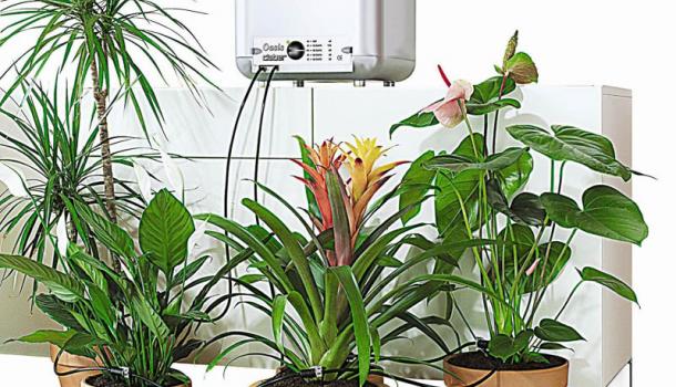 Автоматическая система полива растений 