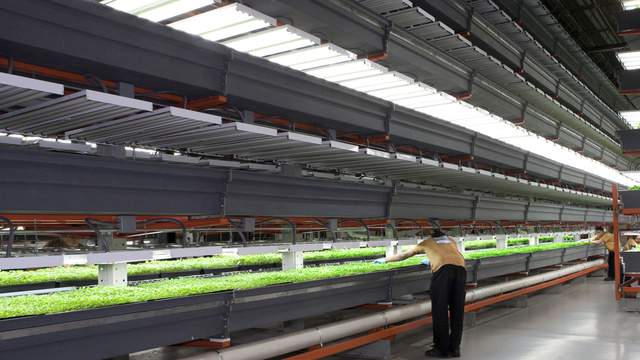 Mega Vertical Farm