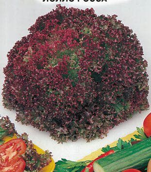 листовой салат Лолло Росса