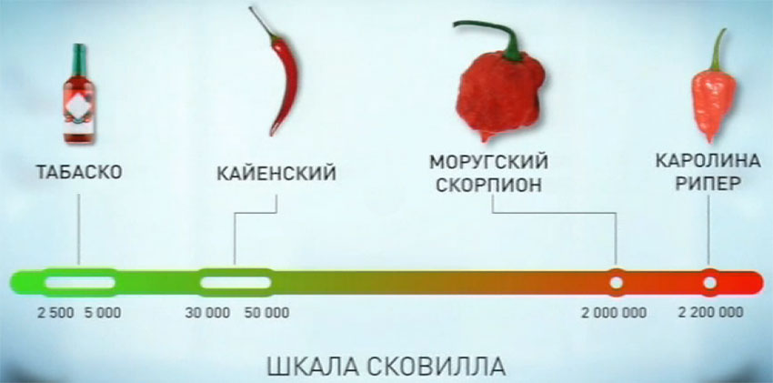 График жгучести острого перца чили.