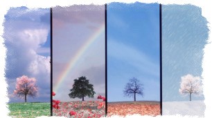 Приметы о природе