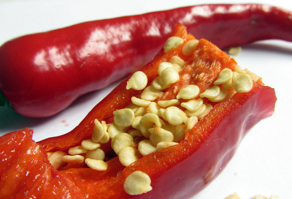 Два стручка красного перца с семенами Два стручка красного перца с семенами