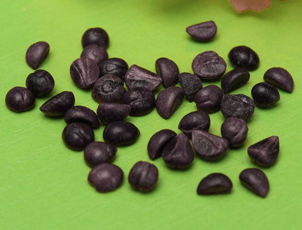 Посадка семенами - сложный способ Посадка семенами - сложный способ