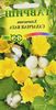 желтый Комнатный цветок Хлопчатник фото (Кустарники)