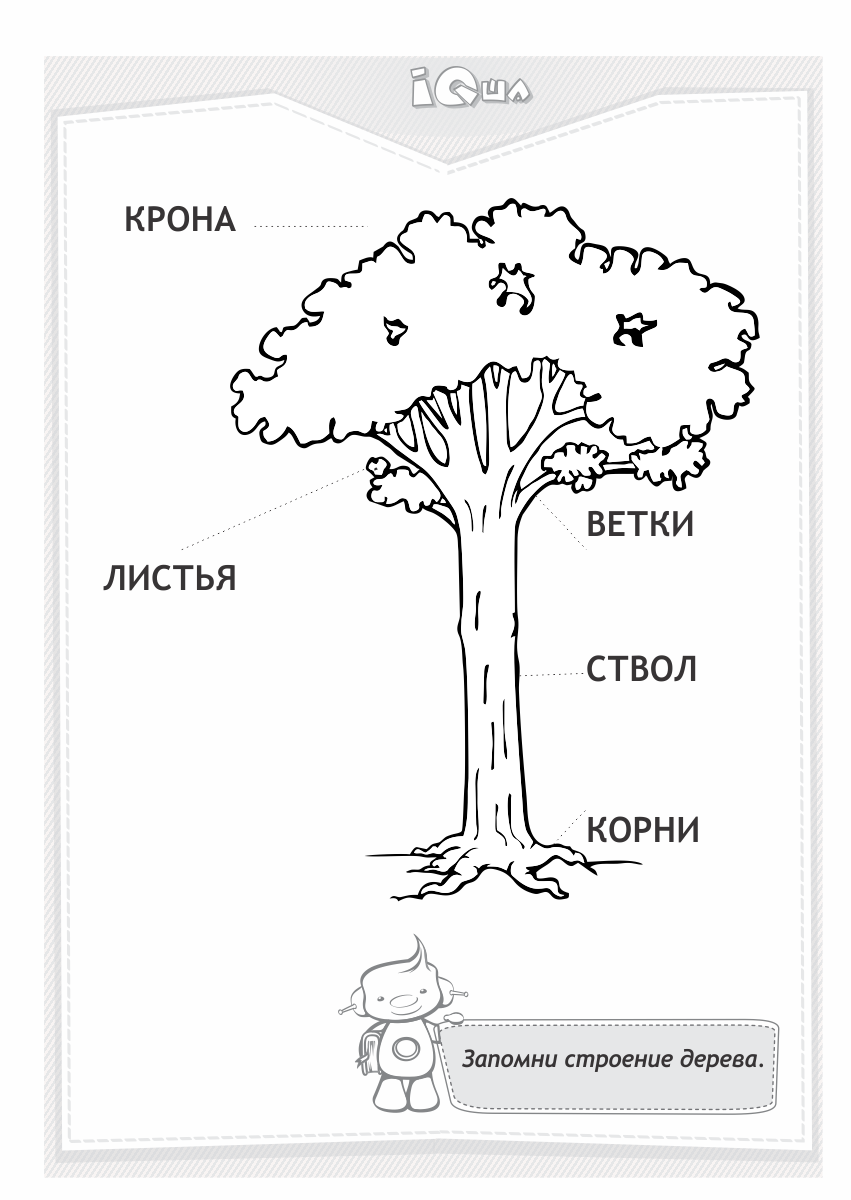 Сначала и потом