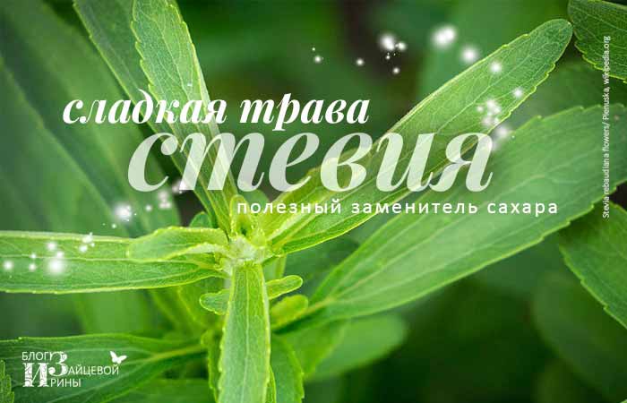 /steviya.html