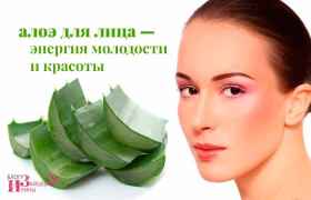 Алоэ для лица – энергия молодости и красоты