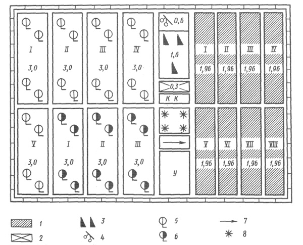 Схематический план организации территории питомника площадью 50 га