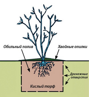 Посадка