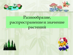 Презентация по биологии 6 класса на тему разнообразие растений