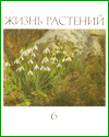 Цветковые растения