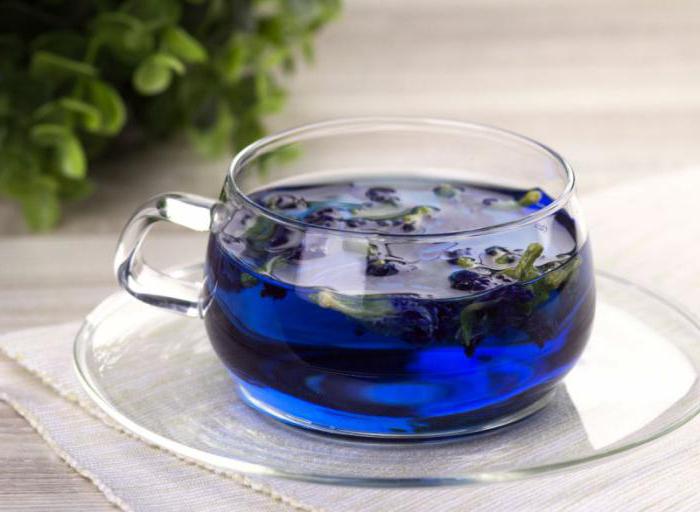 синий чай таиланд 