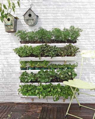 diy-vertical-garden1.thumbnail (320x400, 33Kb)