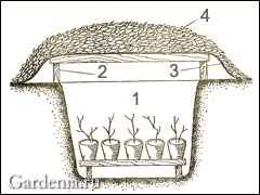 Хранение растений зимой в садовом прикопе