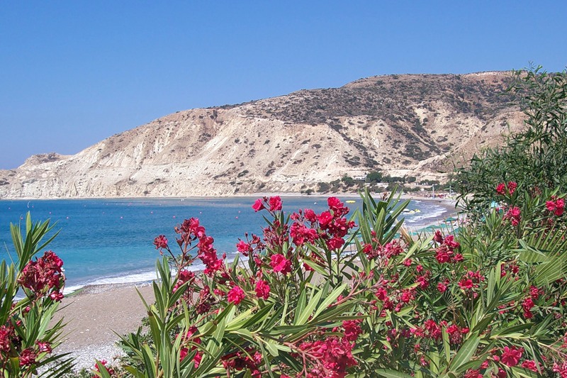 Кипр - остров удивительных цветов